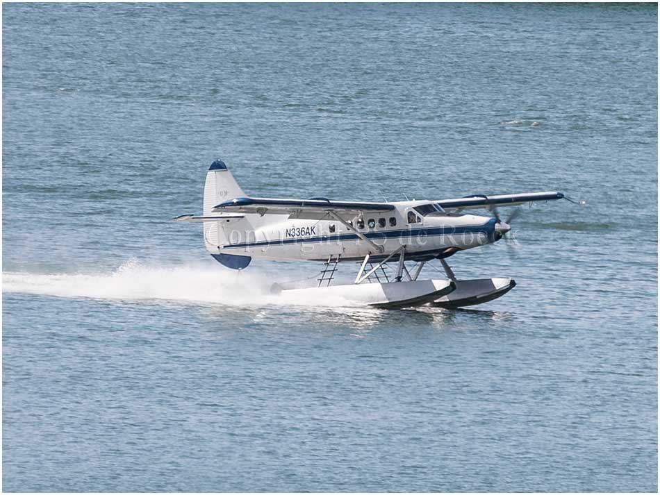 de Havilland Turbo Beaver